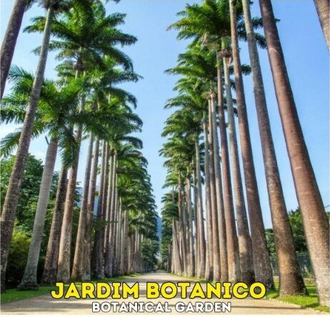 Jardim Botânico