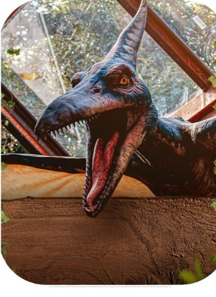 Parque dos Dinos · Miguel Pereira